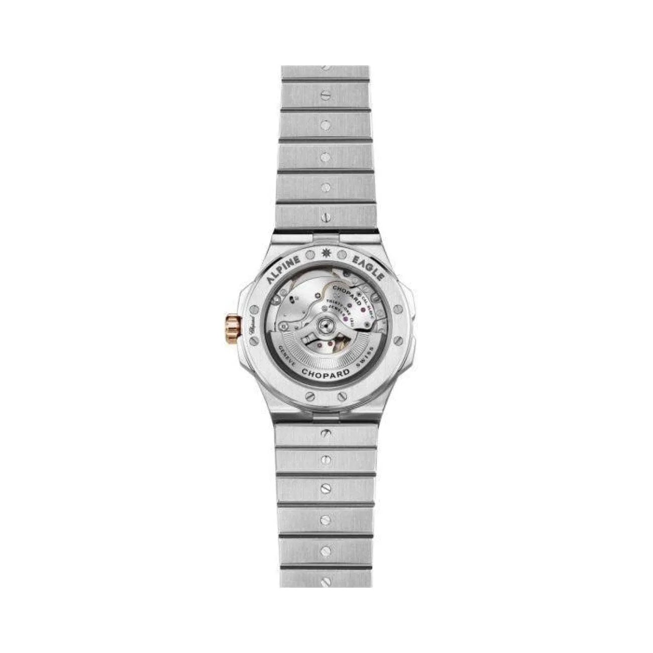 ALPINE EAGLE LARGE 298600-6001