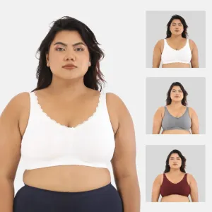 Day Bra For Curvy Women | Full Coverage | Wire-Free & Non-Padded | Seamless Cups | No Centre Panel/Gore |  Back Hook & Eye Closure | Pack Of 3