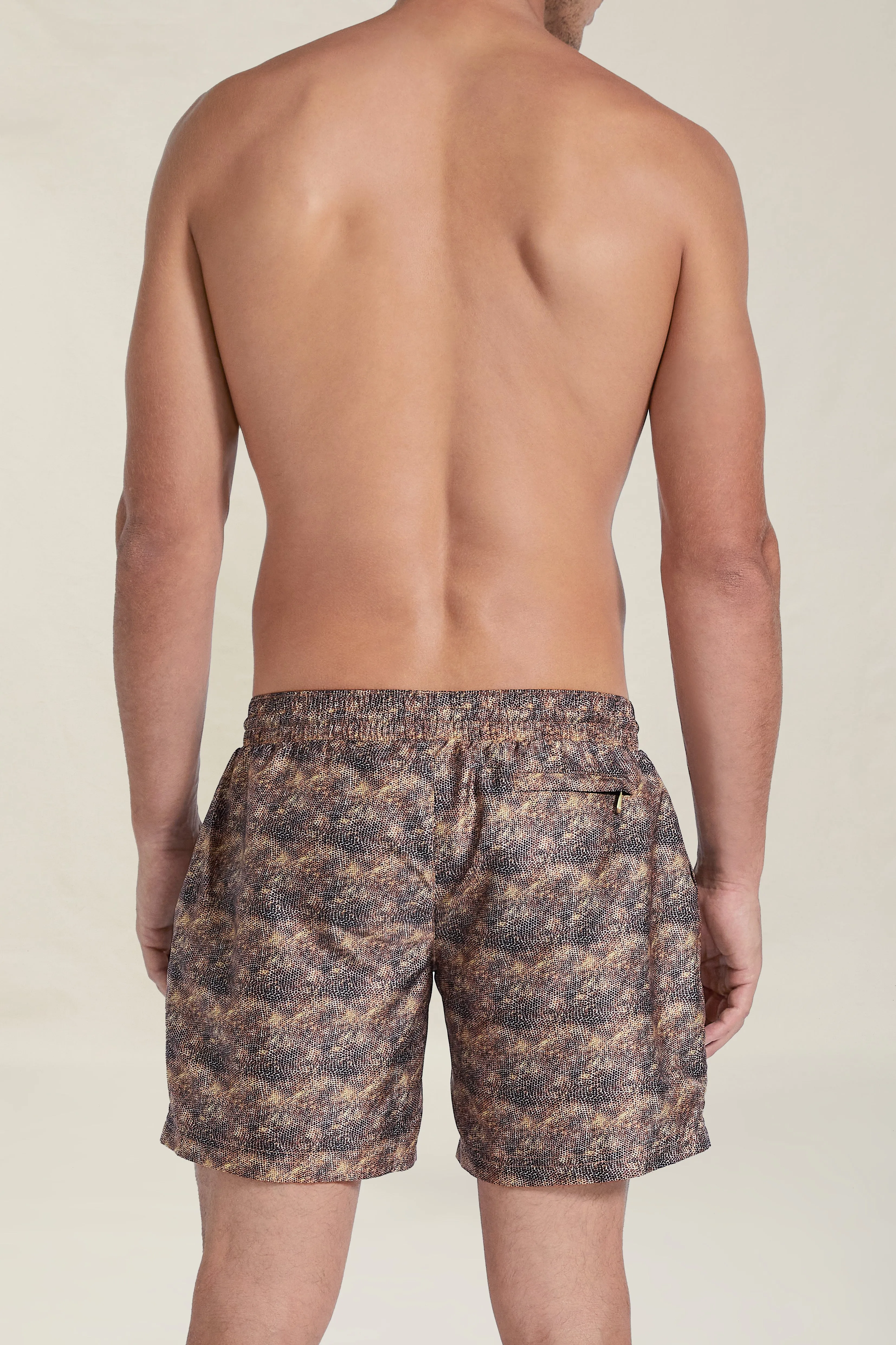 Dexter Swim Shorts