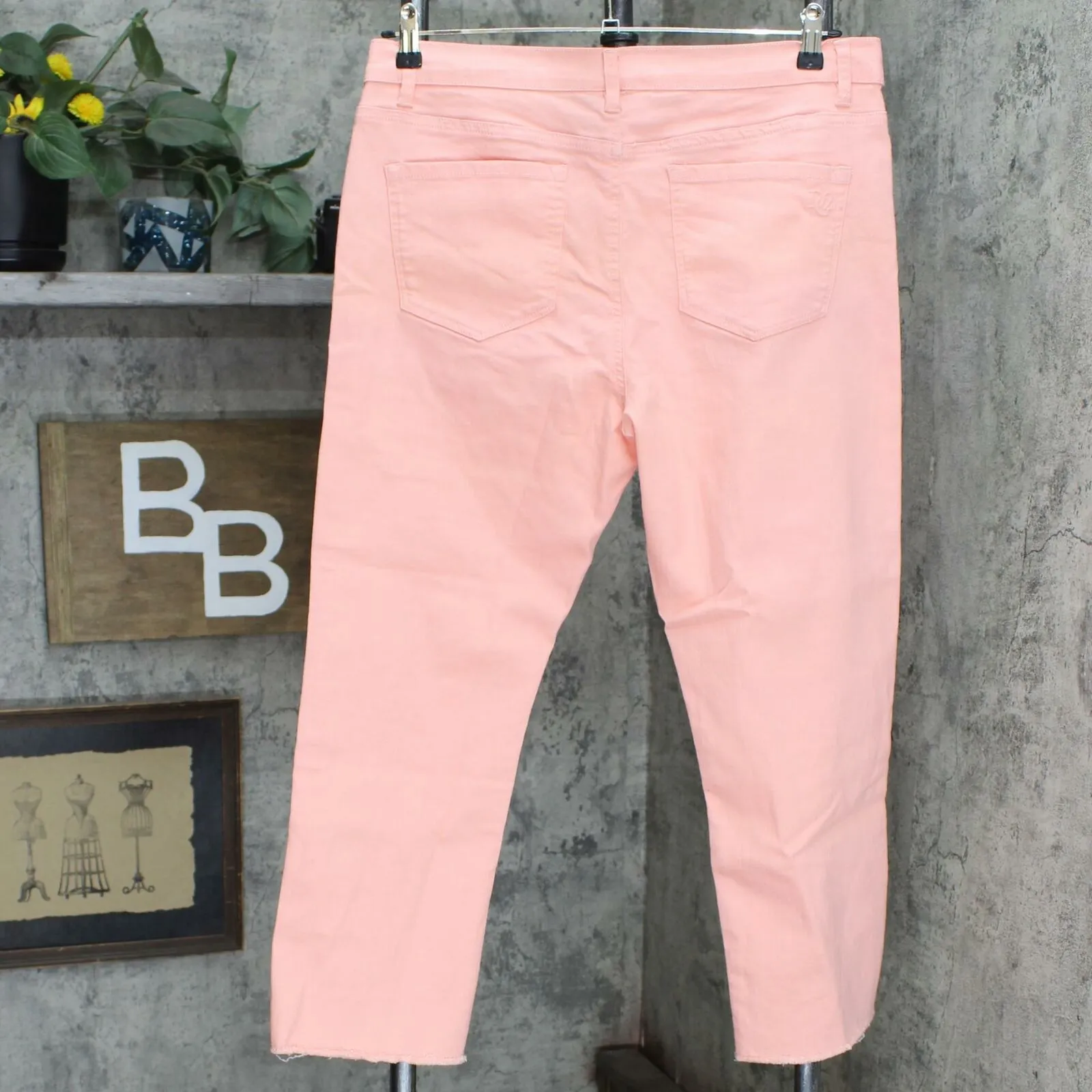 DG2 by Diane Gilman Petite Floral Fray-Hem Ankle Jeans Blush 14P