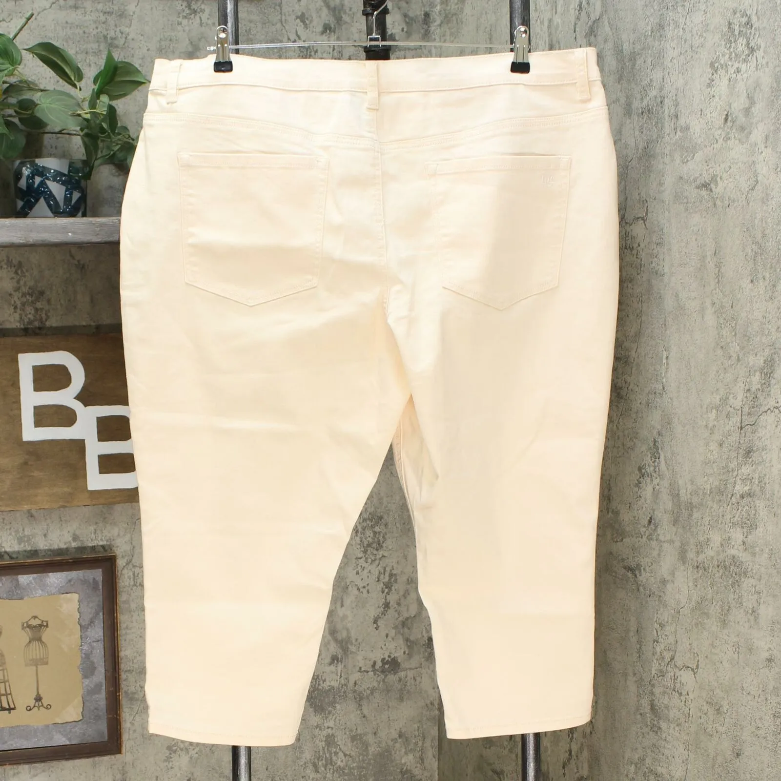 DG2 by Diane Gilman Virtual Stretch Cropped Skinny Jeans Eggshell Petite 24W
