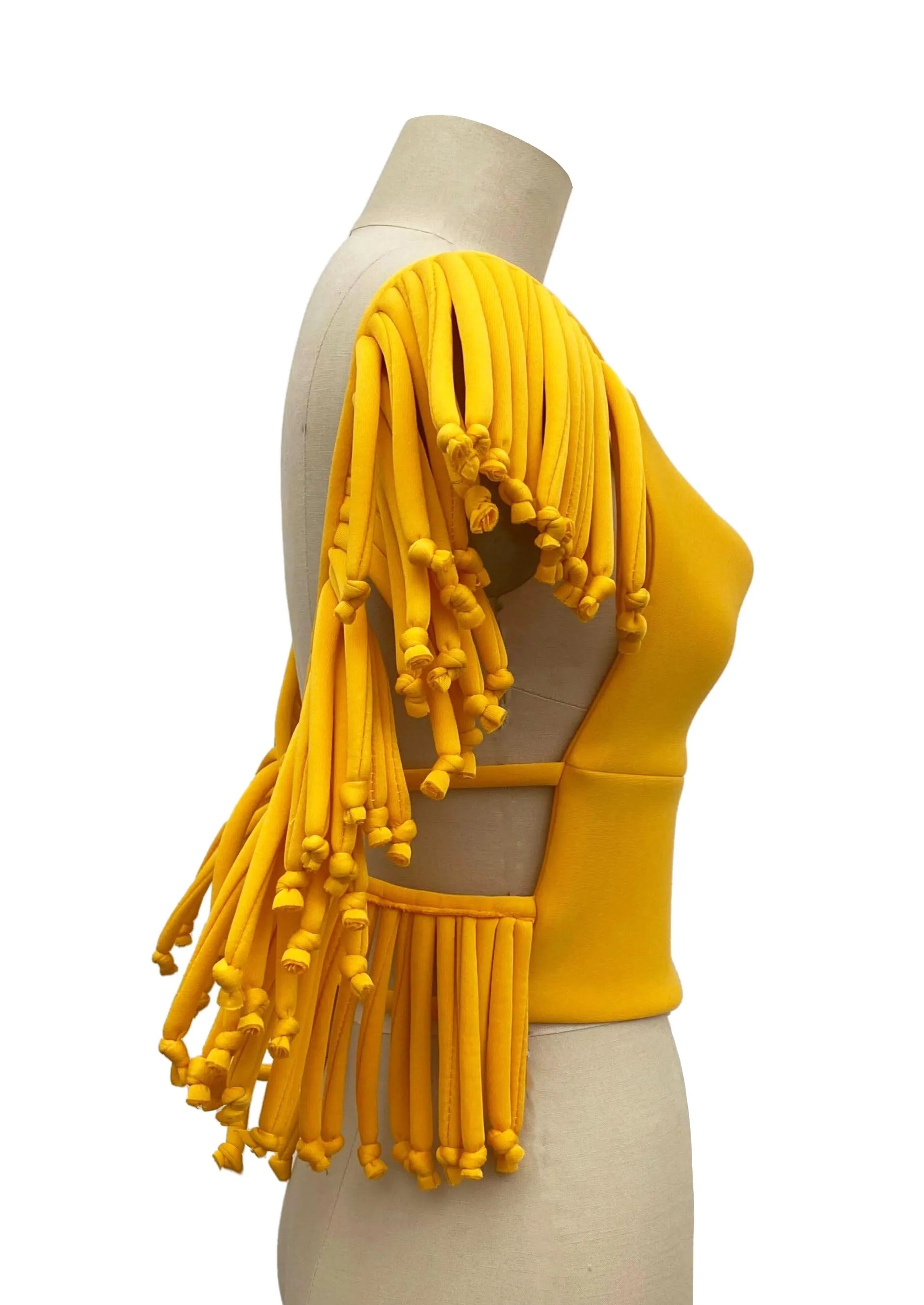 Fringe w/ Benefits Swim Top