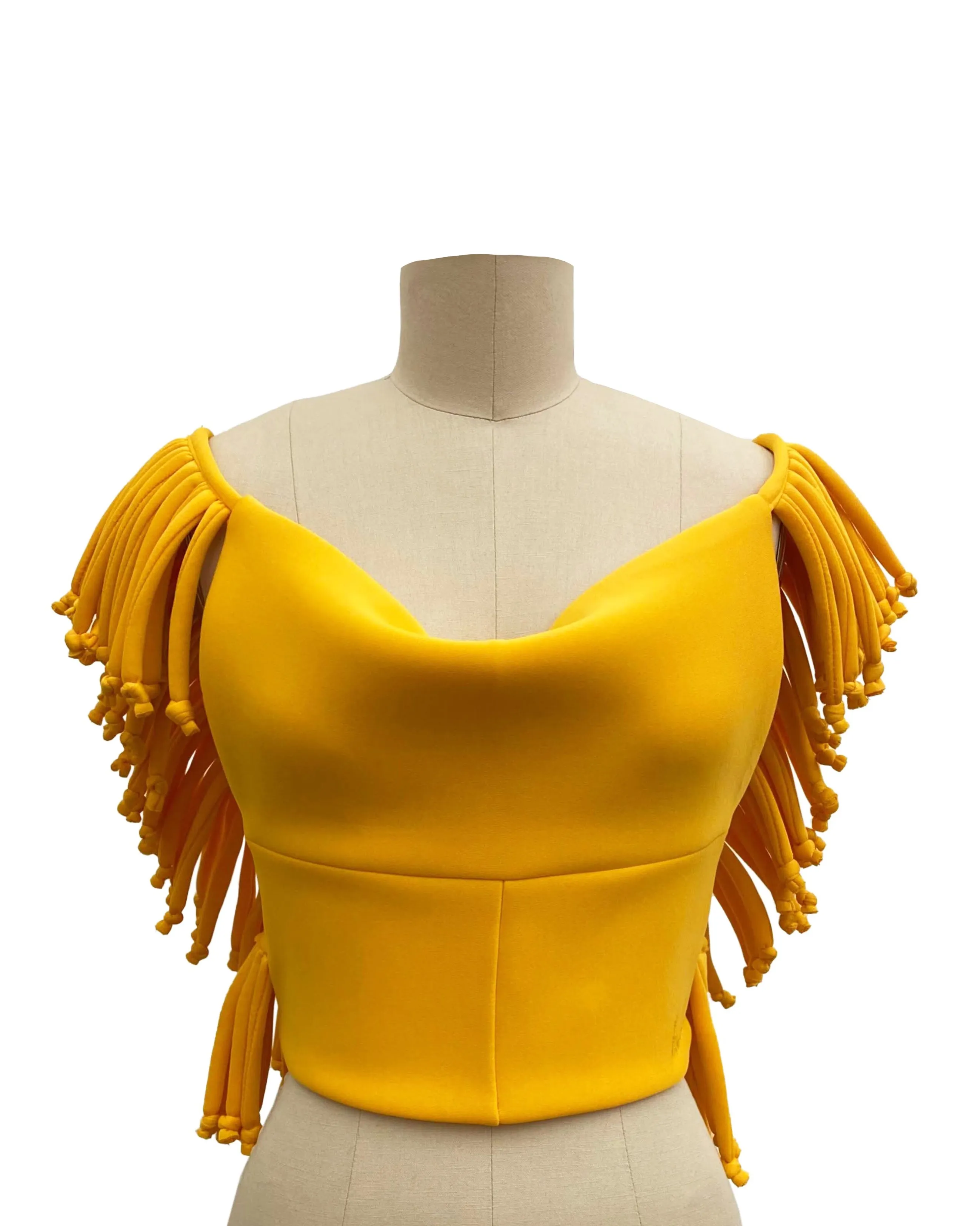 Fringe w/ Benefits Swim Top