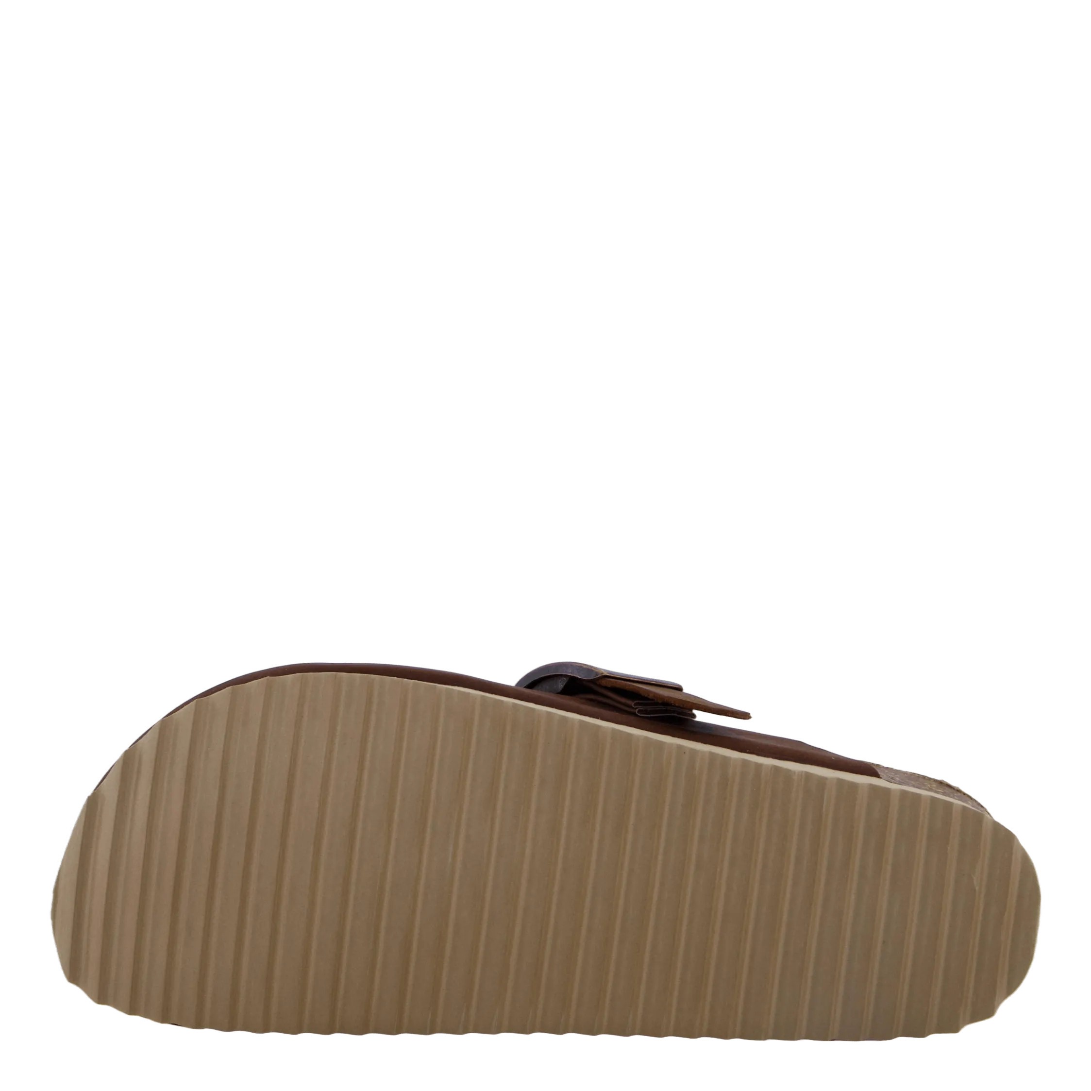 Hc.bio411 Tan