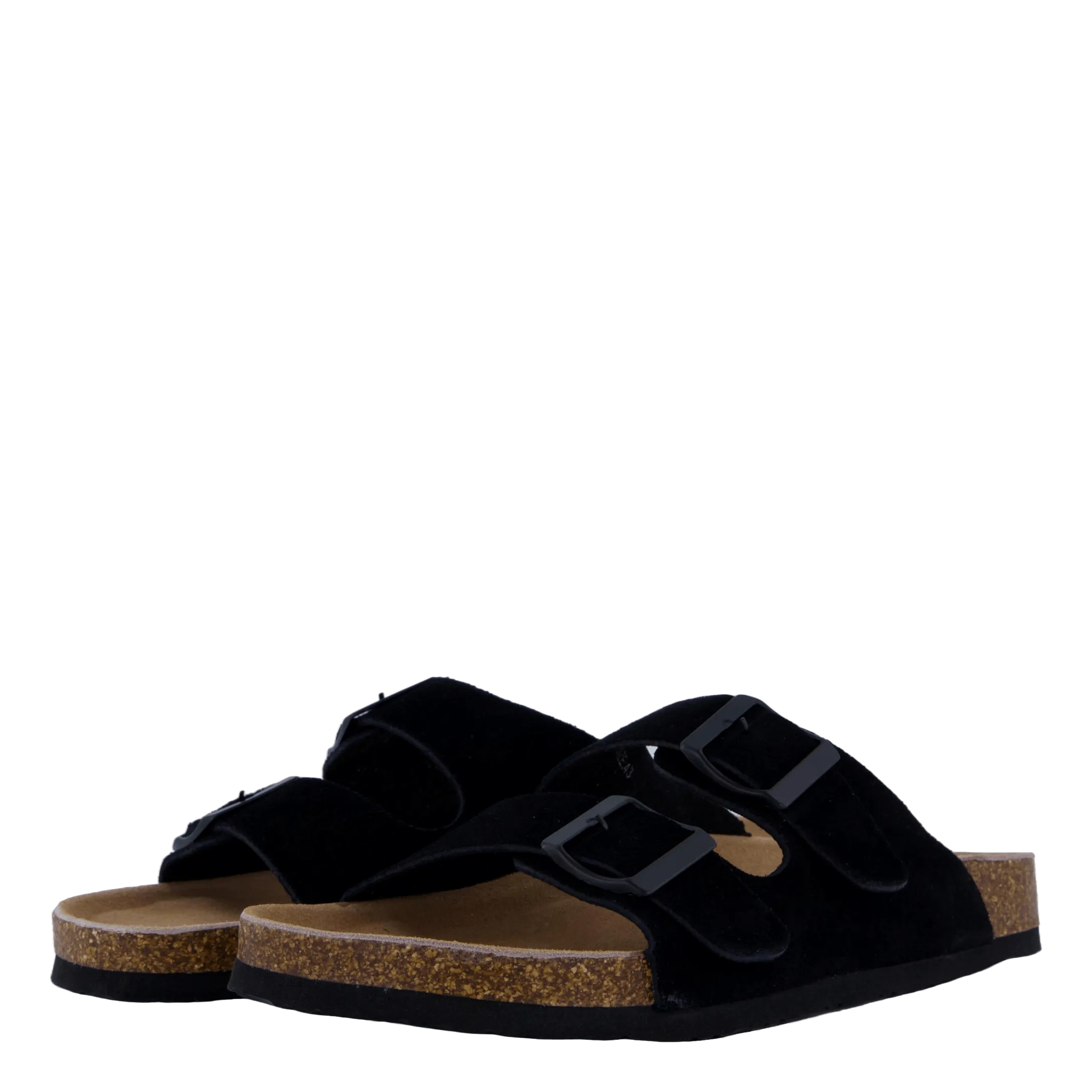 Hc.biom56 Bla