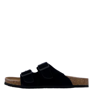 Hc.biom56 Bla