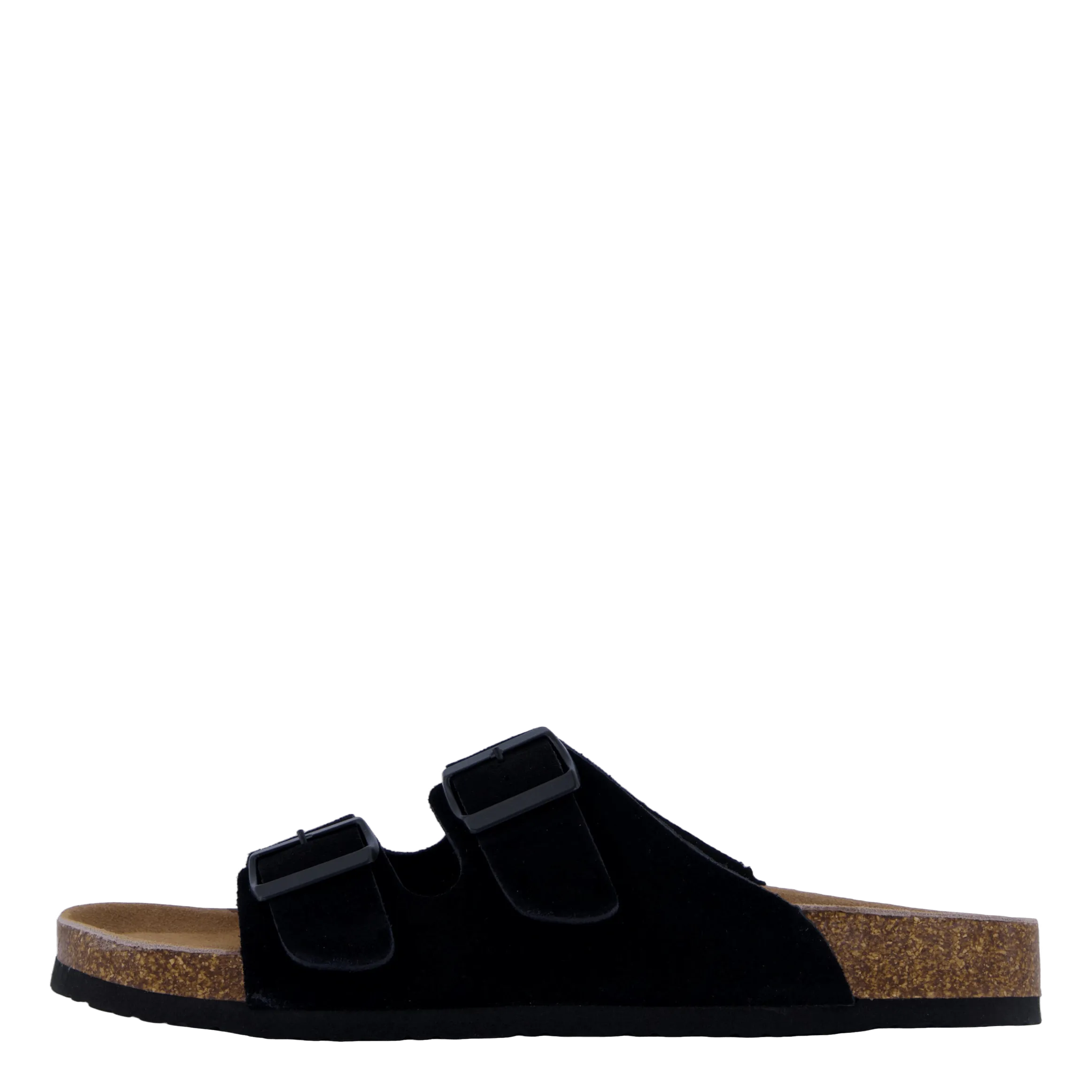 Hc.biom56 Bla
