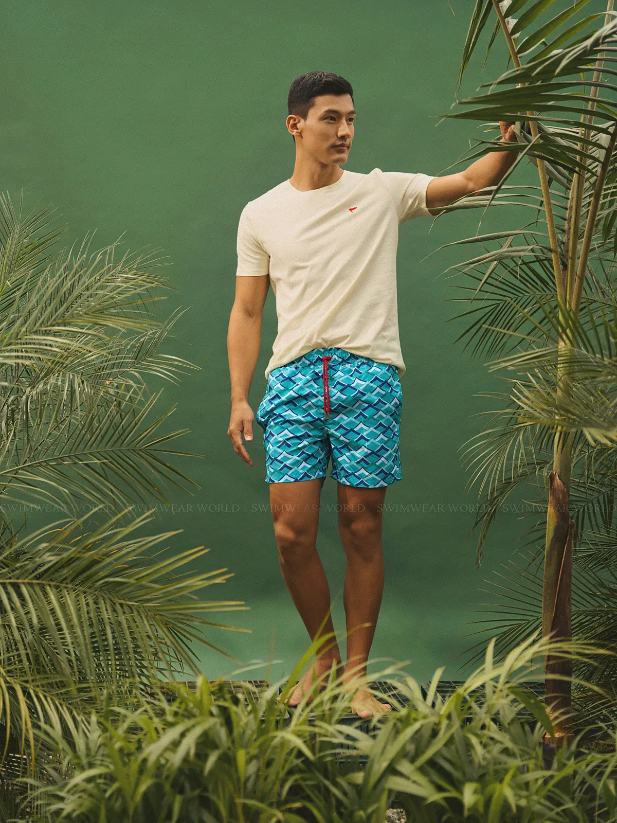 Hisachi Shorts
