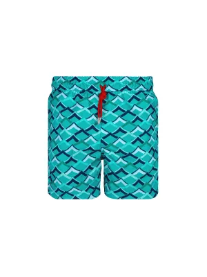 Hisachi Shorts