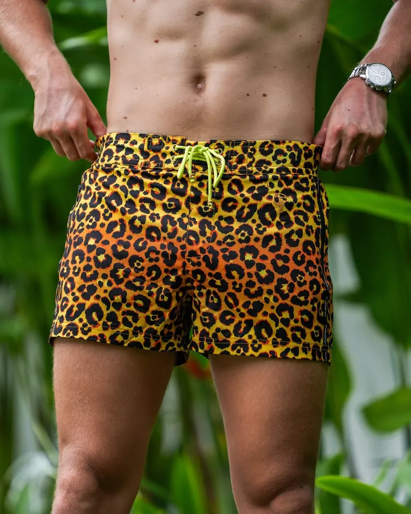 Leopard Print Gold - 3"