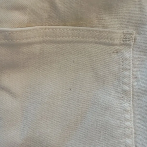 Madewell The Emmett Wide-Leg Crop Jean Welt Pocket high rise Sz 31 Petite NWT