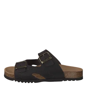 Moldava Dk Brown