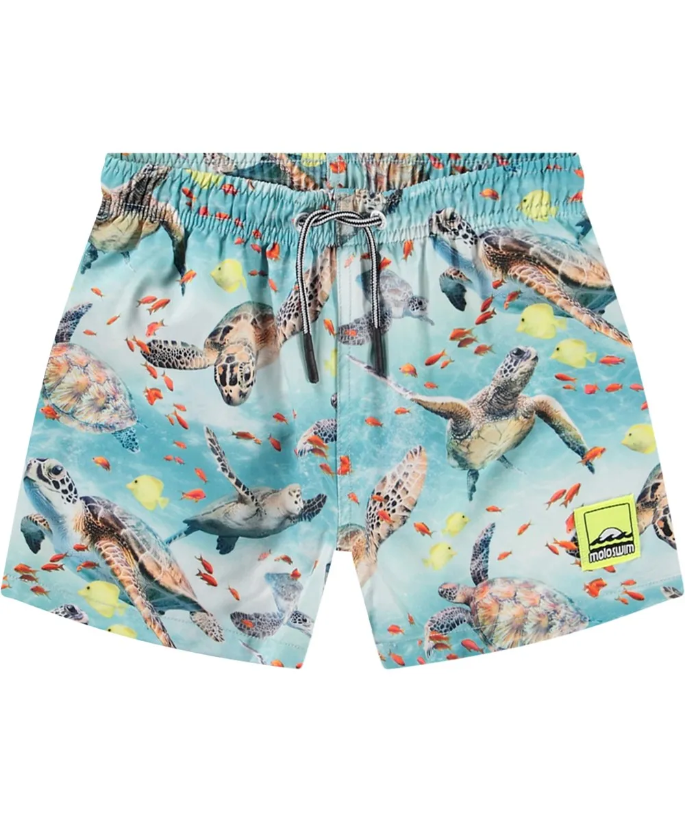 Niko Swim Shorts
