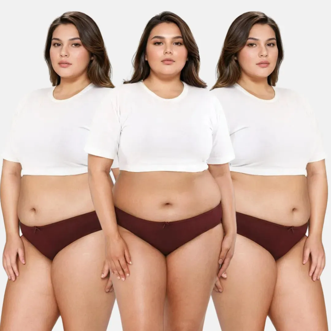 Plus Size BrZee Bikinis | Ultra-Light Fabric | Adaptive Stretch | No Visible Panty Lines | Pack Of 3