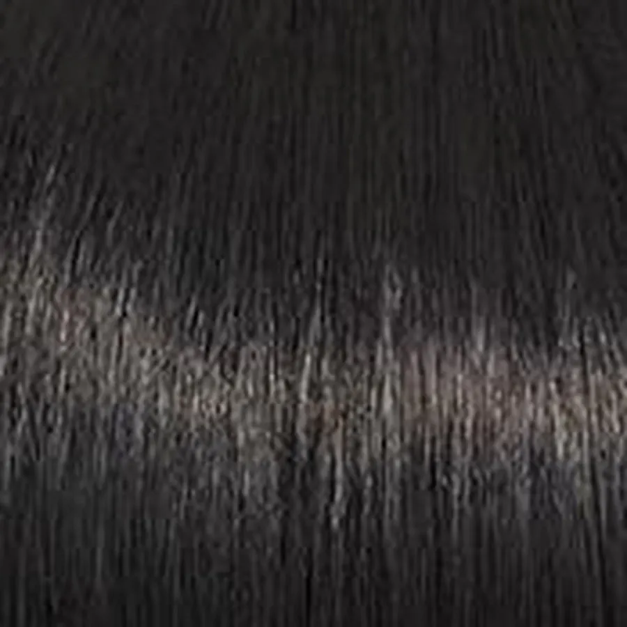 POWER - Wig by Raquel Welch