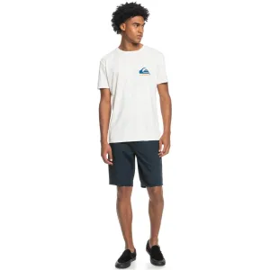 Quiksilver Everyday Chino Light Shorts