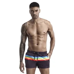 Rainbow Stripe Swim Trunk Shorts