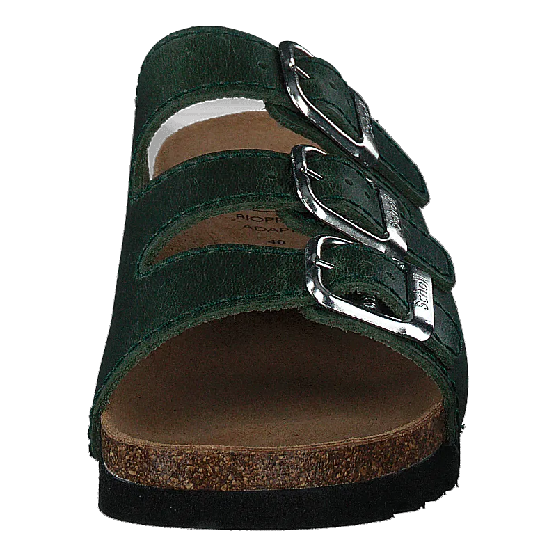 Rio Dk Green
