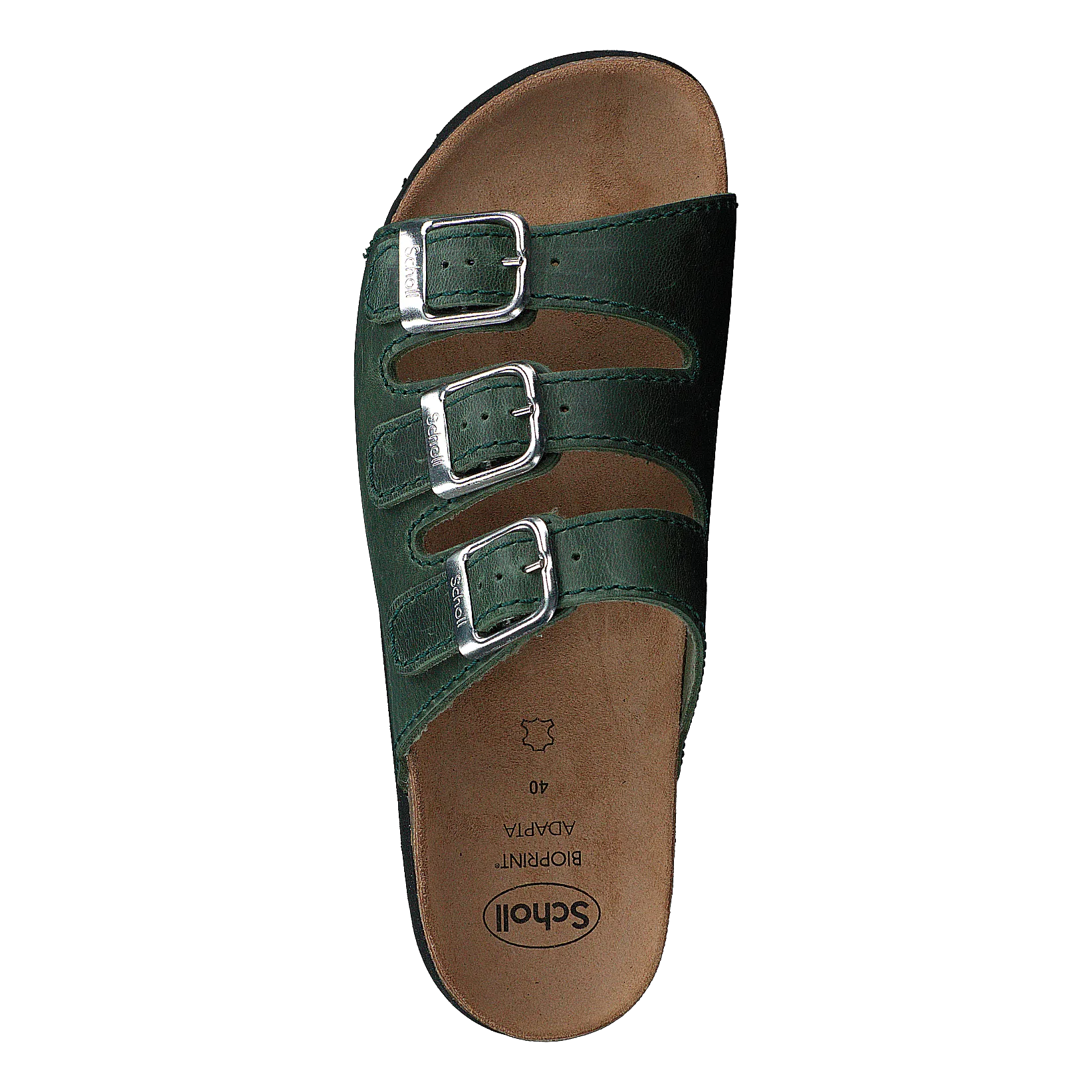 Rio Dk Green