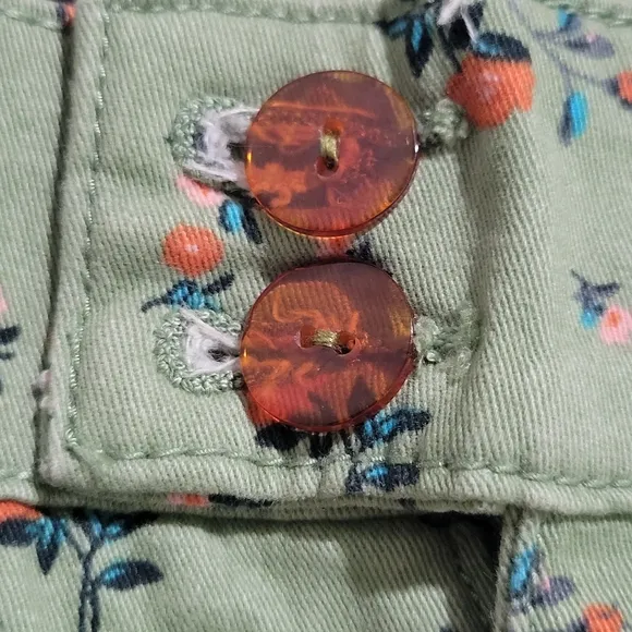 Sanctuary × Anthropologie Women's Odyssey Floral Shorts Size 29 Green Floral