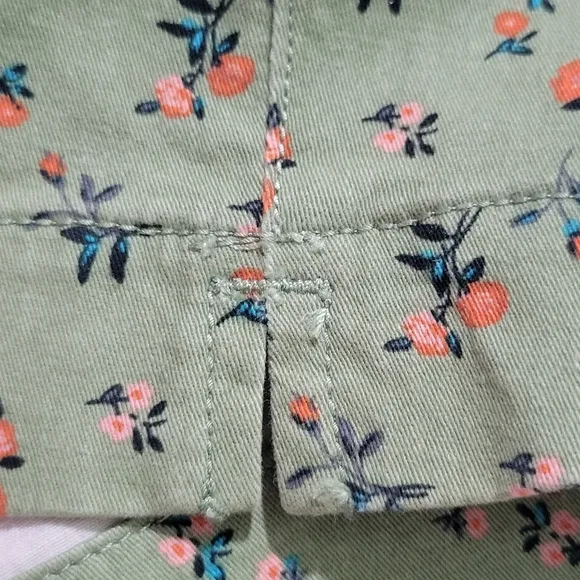 Sanctuary × Anthropologie Women's Odyssey Floral Shorts Size 29 Green Floral