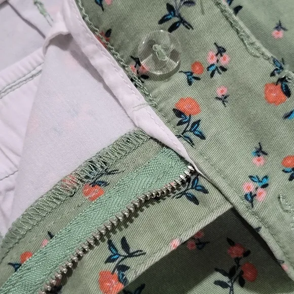 Sanctuary × Anthropologie Women's Odyssey Floral Shorts Size 29 Green Floral