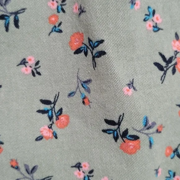 Sanctuary × Anthropologie Women's Odyssey Floral Shorts Size 29 Green Floral