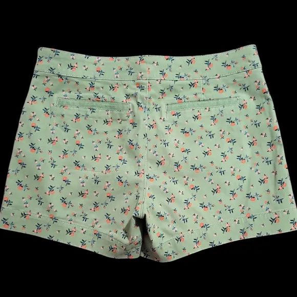 Sanctuary × Anthropologie Women's Odyssey Floral Shorts Size 29 Green Floral