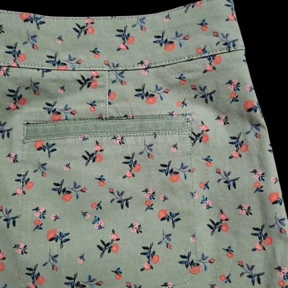 Sanctuary × Anthropologie Women's Odyssey Floral Shorts Size 29 Green Floral