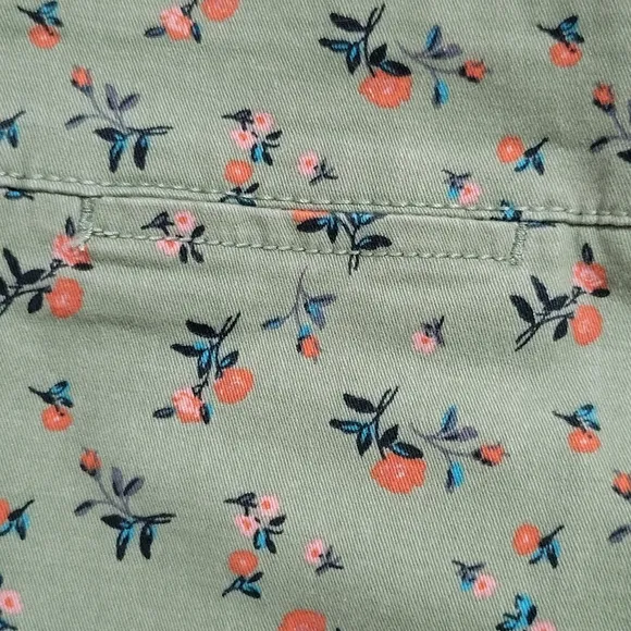 Sanctuary × Anthropologie Women's Odyssey Floral Shorts Size 29 Green Floral