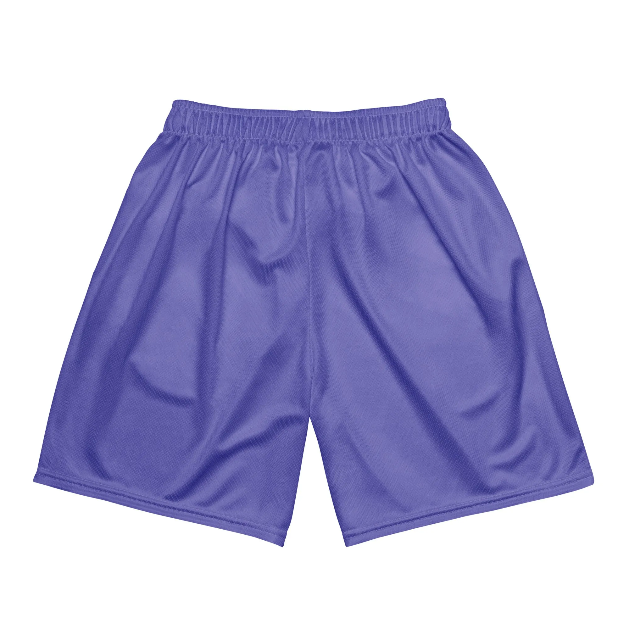 Unisex Athletic Purple Mesh Shorts